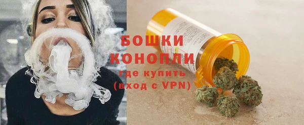 крисы Майский