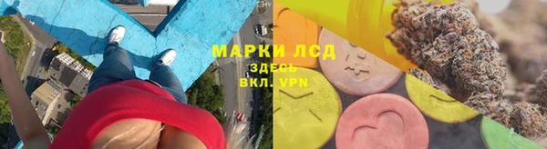 стаф Липки