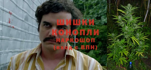 стаф Липки