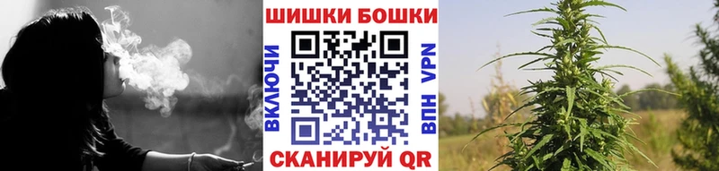 Каннабис конопля Верея