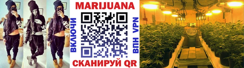 Шишки марихуана тримм  Купить закладки  Верея 